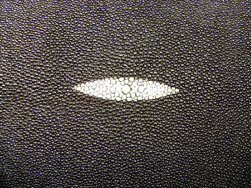 HARLEY - DAVIDSON Softail Classic Sitzbank mit Perlrochen