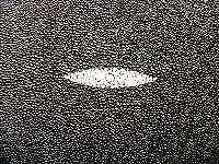 HARLEY - DAVIDSON Softail Classic Sitzbank mit Perlrochen